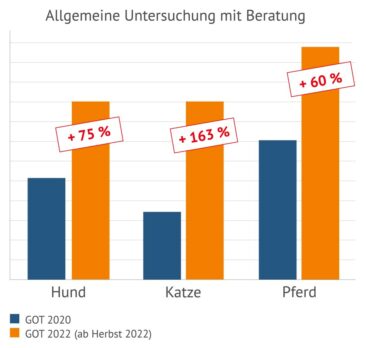Neu auf vergleichen-und-sparen.de: So können sich Tierhalter vor steigenden Tierarztkosten schützen