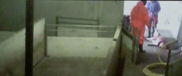 Tierquälerei bei Westfleisch: Bildmaterial belegt massive Misshandlung und Tierquälerei in Zulieferbetrieben