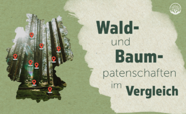 Baumpatron präsentiert Übersicht der deutschen Baumpatenschafts-Projekte