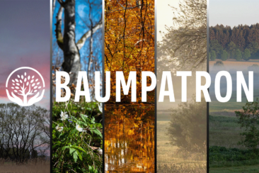 Initiative Baumpatron: Größtes Waldpatenschaftsprojekt der Republik kommt aus Oberbayern