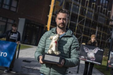 „Preis der Herzlosigkeit“ 2022 geht an Schlachtunternehmen Westfleisch