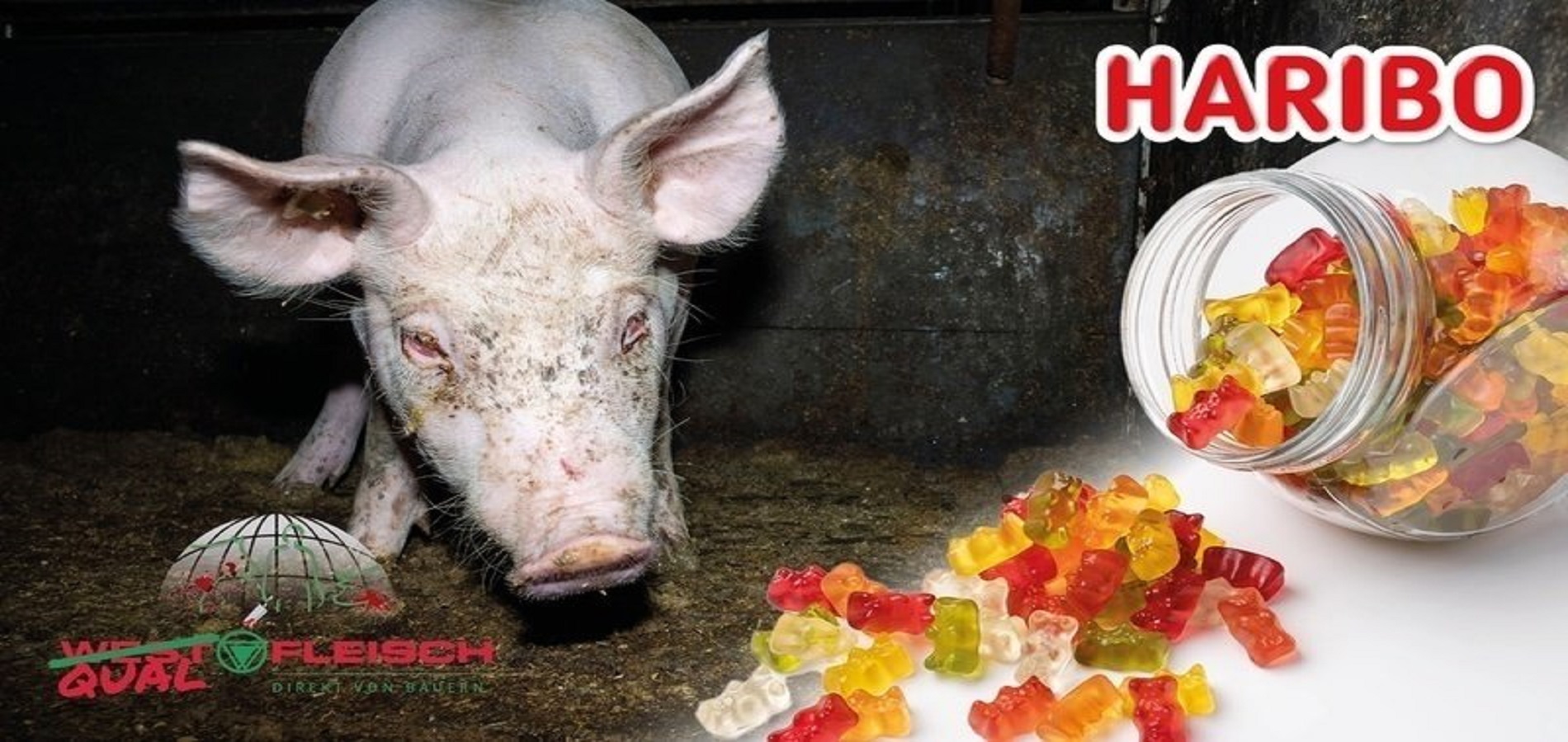 Shitstorm gegen Haribo Der Süßwarenkonzern bezieht Gelatine von