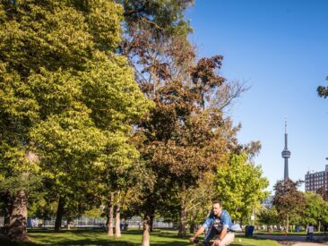 Toronto: Wo Natur und Zivilisation eine Einheit bilden