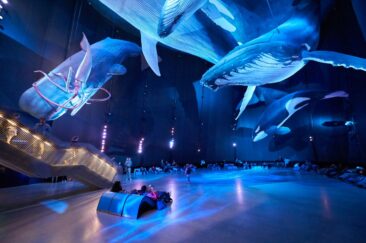 Faszinierend: das OZEANEUM Stralsund