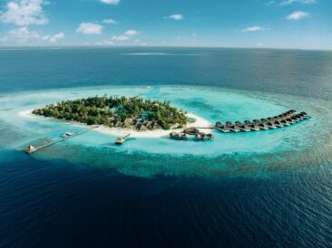 Neu:”Flora & Fauna-Workshops” im Nova Maldives ab dem “World Wildlife Conservation Day”