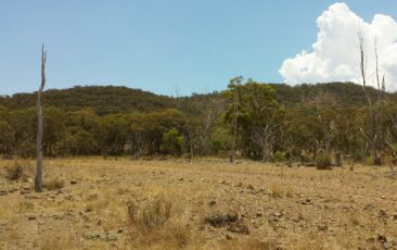 New South Wales unterstützt First Tin mit bis zu 494.000 AUD
