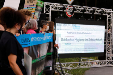 Schweinemäster muss sich wegen unangemeldeter Versammlung vor Amtsgericht Rheda-Wiedenbrück verantwort