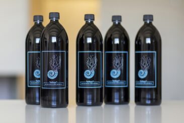 Tethys Water: Das Urmeer in der Flasche – Gesundheit zum Trinken