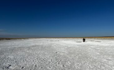 ION Energy erbohrt bis zu 911ppm Lithium in der Mongolei