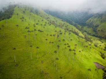 Kolumbien zeigt auf der ITB sein Engagement für den Tourismus als Motor für einen umfassenden Frieden