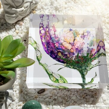 „Flowers of Light“ – Blumen mit Bedeutung zum Sammeln und Verschenken