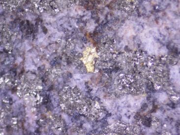 Goldshore Resources: Sichtbares Gold und bis zu 54,4 g/t Gold!