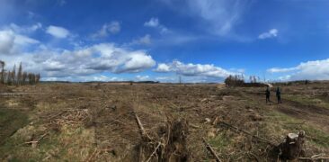 Sunwave unterstützt das Aufforstungsprojekt „Wald-ist-Klima“