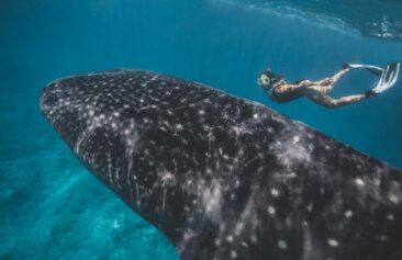 „Für die Nachhaltigkeit!“