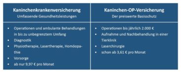 Großer Schutz für lange Ohren: die Kaninchenversicherung