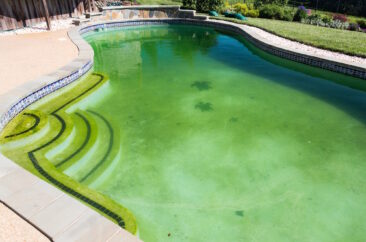 Schluss mit grünem Poolwasser und ekligem Urin-Gestank