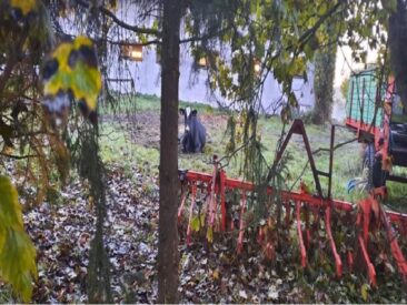 Tierquälerei in Themar: „Downer“-Kuh zum Sterben vor den Stall gelegt