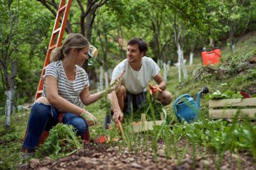 Umweltfreundliche Gartenpflege: Schafwollpellets als natürlicher Dünger im Frühjahr