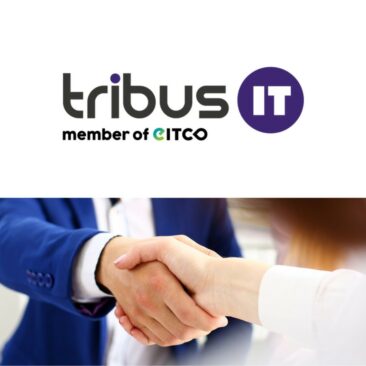 Auf Wachstumskurs: EITCO-Gruppe und tribus IT fusionieren