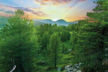 Nachhaltigkeit im Schlafzimmer