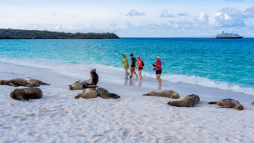 Reisemedizin Weiterbildungen