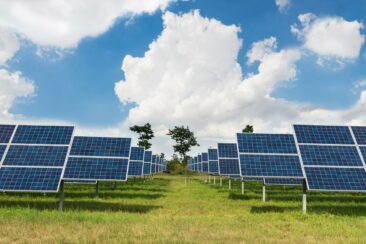 Ein Pionier im Bereich der erneuerbaren Energien: Bel Trading & Consulting Ltd.