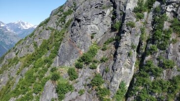 Goliath Resources: Anzeichen auf hochgradige Goldvererzung verdichten sich