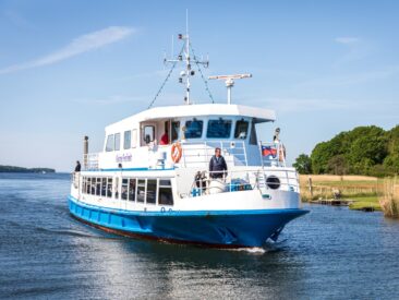 Robbenfahrten – das etwas andere Urlaubshighlight auf Rügen