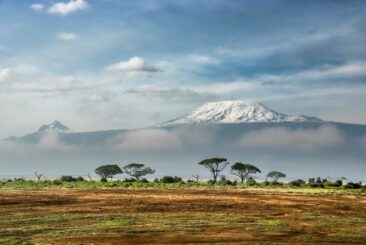 Unvergessliche Safaris und Traumstrände: SunTrips erweitert Kenia-Angebot