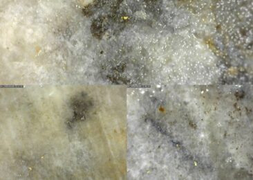 Sitka Gold entdeckt sichtbares Gold 3,6 km von Blackjack-Entdeckung