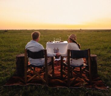 „All you need is love“-Safari