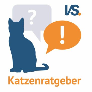 Alles für die Katz‘: der VS. Katzenratgeber – jetzt neu bei vs vergleichen-und-sparen.de