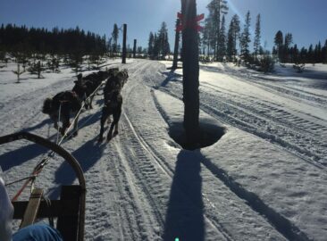 Sunwave organisiert Winterwunderland-Reisen nach Schweden: Single unterm Nordlicht