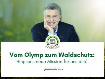 Vom Olymp zum Waldschutz: Hingsens neue Mission für uns alle!