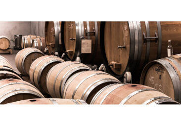 Warum beim Thema Weinreifung und Weinlagerung so große Verwirrung herrscht