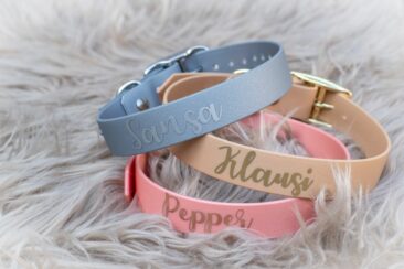 Die Geschenkidee für alle Hundefreunde zum Fest. Individuelle zart schimmernde Hundehalsbänder von beautytau