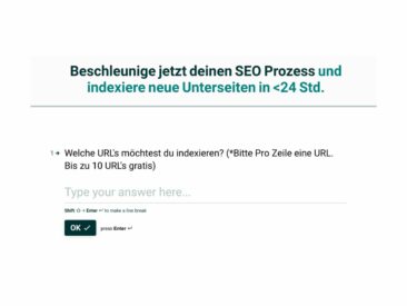 Google Indexierung Tool innerhalb 24 Std: Timo Spechts SEO-Revolution