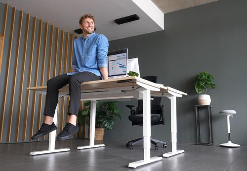 Ergotopia Studie