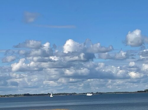 Sonnenuntergang auf dem Deich genießen