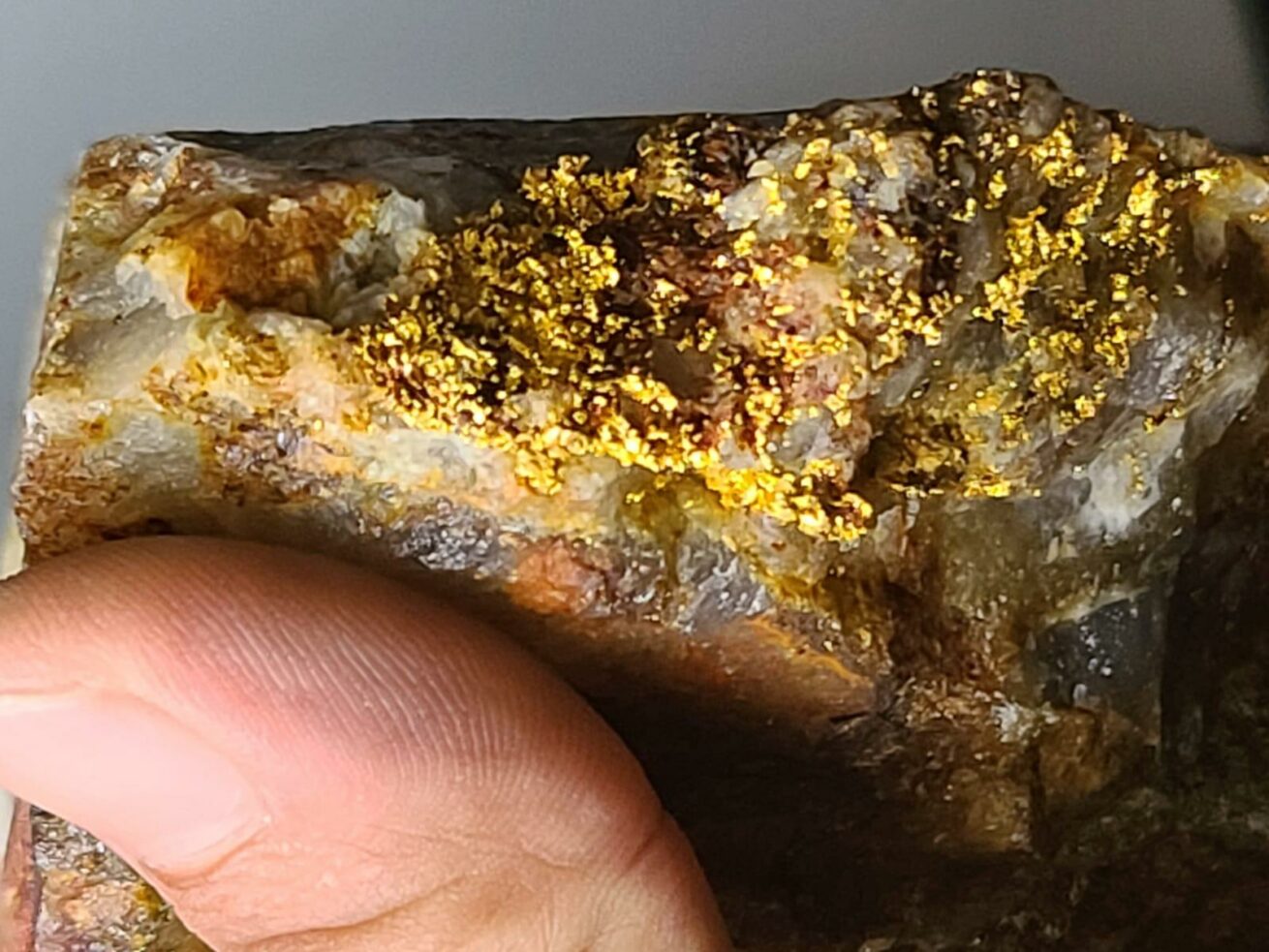 Sranan Gold: Zahlreiche neue Ziele verdeutlichen jetzt das Goldpotenzial von Tapanahony!