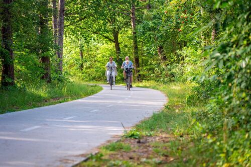 Versteckte Highlights: 5 Geheimtipps für den Sommerurlaub auf Texel