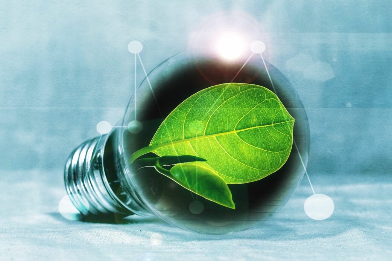 Wurzer Umwelt – Bioenergiezentrum als Vorreiter für erneuerbare Energie aus Bioabfällen