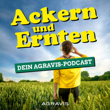 AGRAVIS-Podcast: Tipps zum Maisanbau, Sorten und Labyrinthe