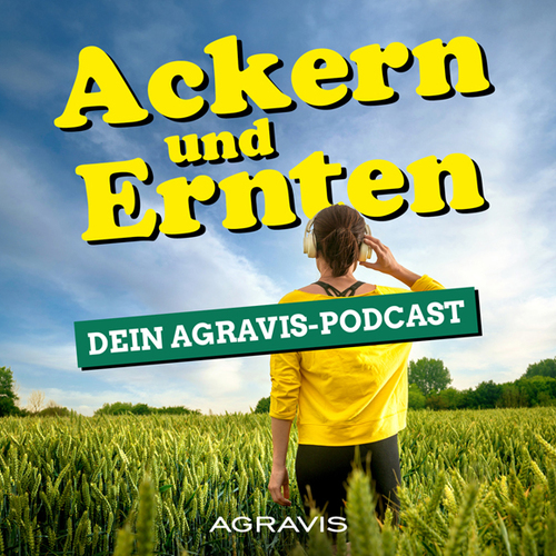 AGRAVIS-Podcast: Tipps zum Maisanbau, Sorten und Labyrinthe