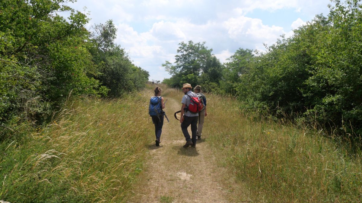 Der Besuch der Natur macht gesund