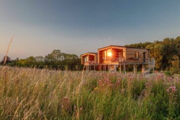 Deutschlands erstes Baumhaushotel an der Ostsee eröffnet – Rückzugsort mit Stil & Weitblick