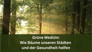 Grüne Medizin: Wie Bäume unseren Städten und der Gesundheit helfen