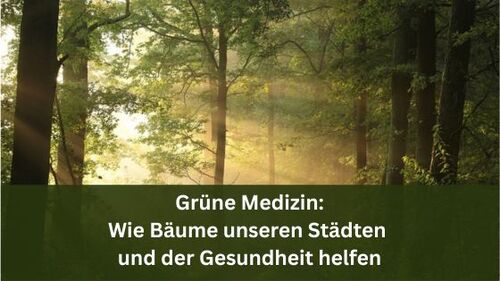 Grüne Medizin: Wie Bäume unseren Städten und der Gesundheit helfen
