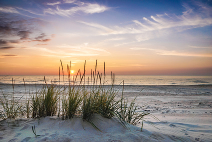 Nur noch zwei Baugrundstücke ca 200 m zur Ostsee