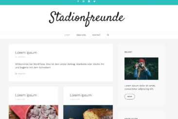 Stadionfreunde: Fußballkultur zwischen Leidenschaft und Loyalität